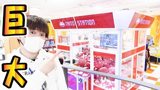 1回500円🥺巨大クレーンゲーム攻略ぬいぐるみゲット！タイトー