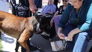 Meridian K9 Unit welcomes new members to the team.