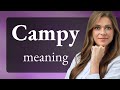 Campy  campy meaning