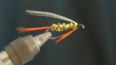 The Stayner Ducktail - Fly Tying Lesson Video Tutorial by Curtis Fry