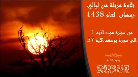 تلاوة مرتلة من ليالي رمضان لعام 1438 للهجرة بصوت الشيخ انور بن طاهر الجبرتي من سورتي يوسف وهود