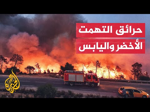 حرائق تونس أتت على مئات الهكتارات من غابات وأراض زراعية