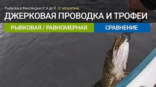 видео: Проводка джерков, сравнение, много трофейной щуки  - рыбалка в Финляндии картинка: Проводка джерков, сравнение, много трофейной щуки  - рыбалка в Финляндии