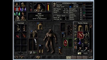 Wizardry 8 Christian Coders Mod 05