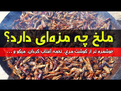 تصویری: ملخ چگونه کار می کند؟