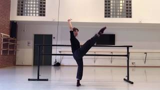 Quarantine Ballet. Adagio Barre