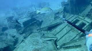 Deep Primitive Spearfishing | Bahamas Trip | No Storyline