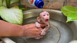 Cute Pet Monkey Morning Routine 🐒 | Bath Time &amp; Drinking Milk #Monkey
