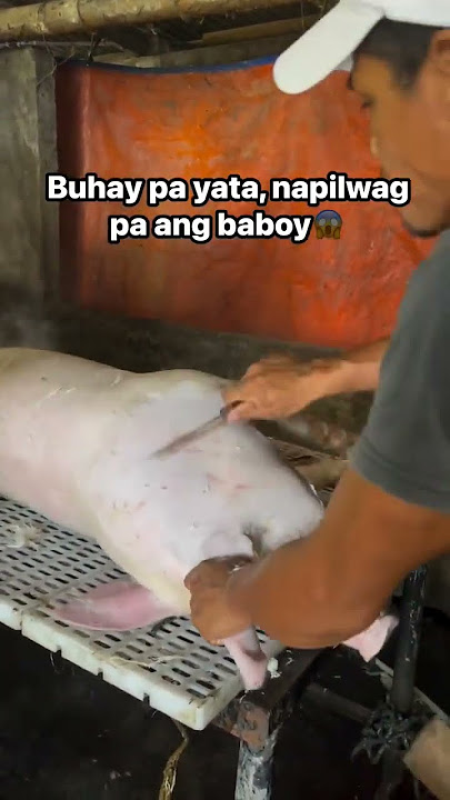 Kinukulisan na, ey napilwag pa ang baboy😂 #meatmarket #meat #cookingshow #fypシ゚viral