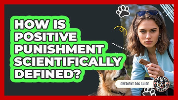 How Is Positive Punishment Scientifically Defined? - Obedient Dog Guide