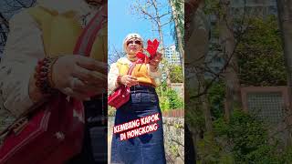 Download Lagu kembang kapok  di hongkong #jangkauanluas #everyoneeverywhere #travel #jangkauanluas MP3