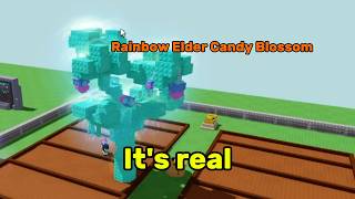 I Got Rainbow Elder Candy Blossom Grow A Garden