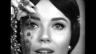 Maybelline Cosmetics 1960S