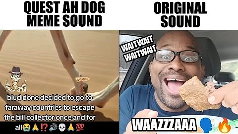 WAITWAITWAIT WHAT DA HELLL WAAZZAAA (quest ah dog Original vs Meme)