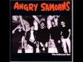 Angry Samoans - I Lost (My Mind)