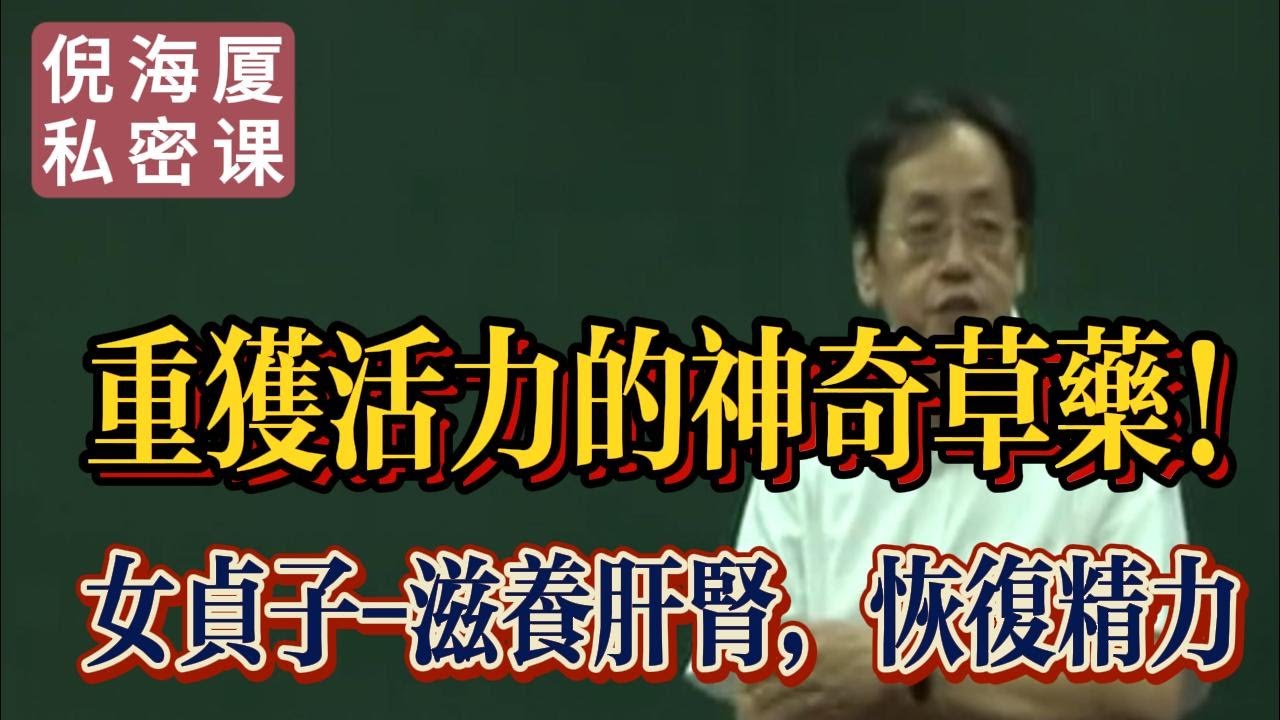 【倪海廈私密課】女貞子：讓你重獲精力的果實 | 中醫的補肝腎秘方#倪海廈 #自學中醫 #中藥#中醫基礎課程