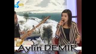 AYLİN DEMİR (bahçada yeşil çınar) Resimi