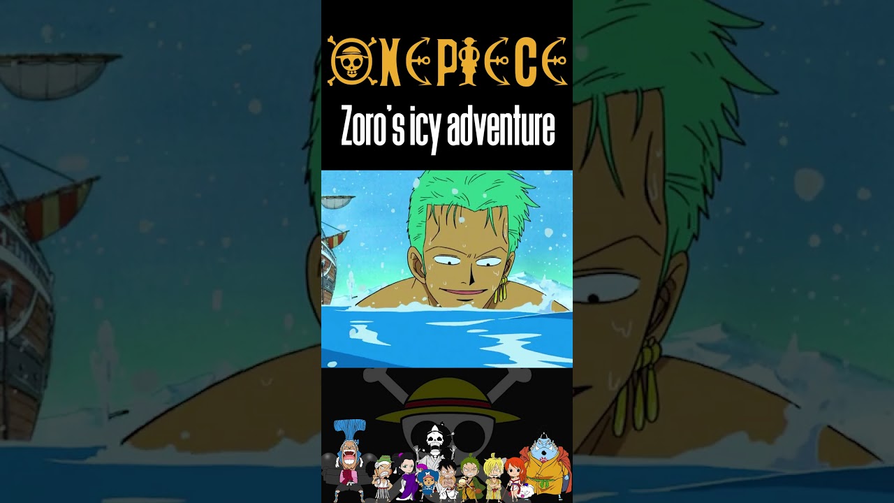 jojoi☆\\ on X: Z's Ambition Arc [#OnePiece #ThousandSunny #Zoro