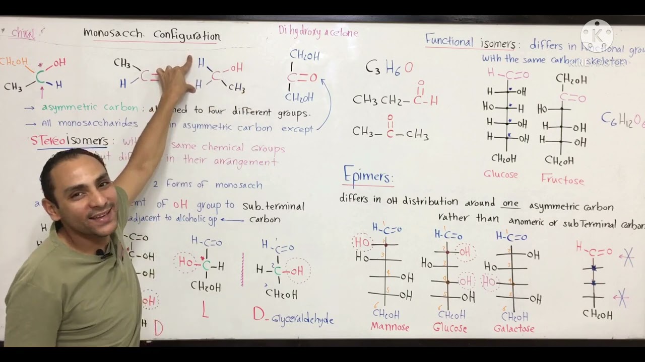 Carbohydrates 2 ( بايو اولي طب)