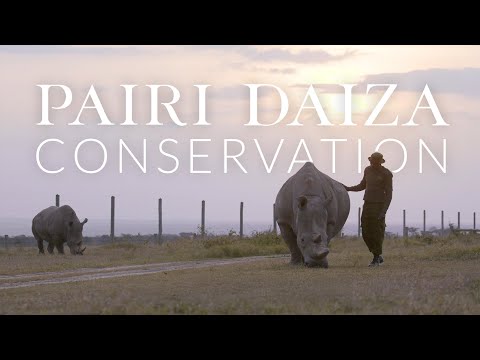 Thumbnail for La fondation Pairi Daiza fête ses 10ans : une décennie d’engagement et d’espoir 🤍🌍