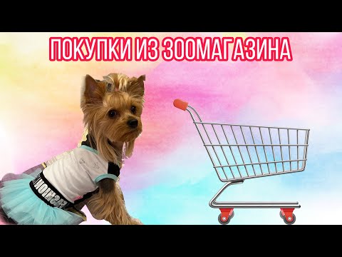 Покупки из зоомагазина // Амуниция waudog // Одежда и другое // Конкурс