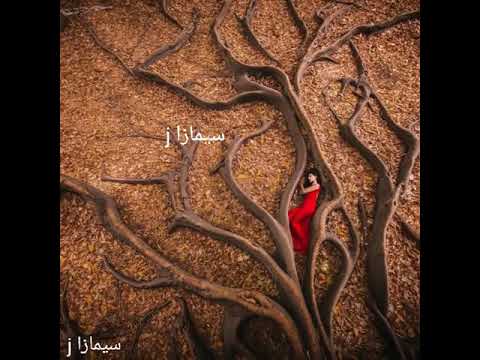 موسيقى رائعة تركني وحيدا Relaxing Music Wonderful Music