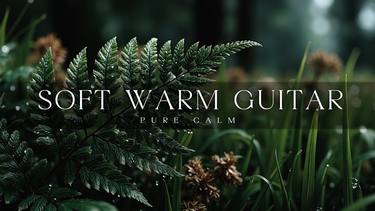 Мягкая акустическая гитара | Музыка для утренней медитации