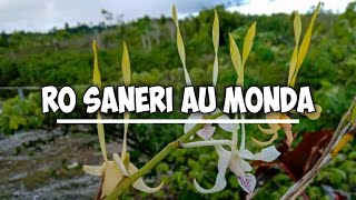 LAGU DAERAH PAPUA - ROSANERI AU MONDA