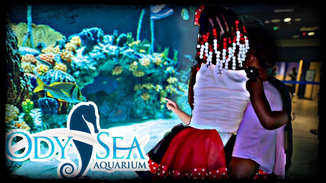 Odysea Aquarium Scottsdale AZ has the BEST restroom in America