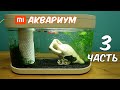 Аквариум XIAOMI Часть 3. Креветки, Растения и новый живой корм! alex boyko