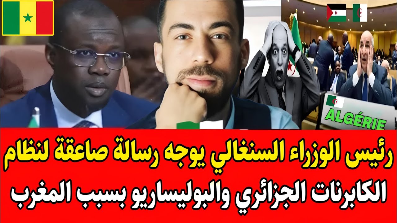 شوقي بن زهرة يفـ.ـجرها رئيس الوزراء السنغالي يوجه رسالة صـاعقة لنظام الكابرنات الجزائري والبوليساريو