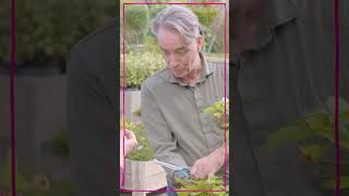 Catherines Stijl - Rodenburg Home Garden