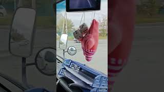 Федеральная трасса,Находка-Владивосток!