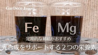 【肥料】光合成をサポートする２つの栄養素＋α【活力剤】