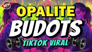 OPALITE - BUDOTS REMIX | TikTok Viral - DJ JOHNREY