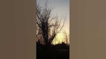 القرآن الكريم #shortvideo #المصحف #الرحمن #توبة #اكسبلور #القران_الكريم  #راحة_نفسية