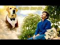 Anant Rastogi music song at Leo and reo (tu mera bhai hai)rs#video#