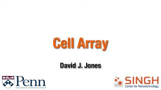 08   Cell Array   LayoutEditor Training