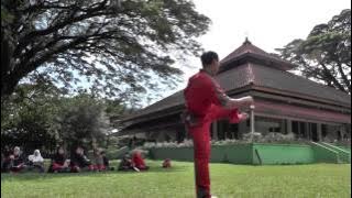 Beladiri Terbaik Di Dunia: Thifan Pokhan Tsufuk | Best World Martial Arts