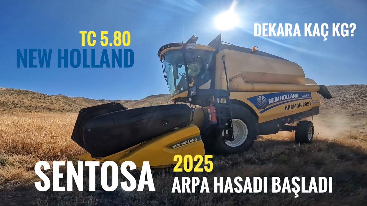 ARPA HASADI BAŞLADI.  Sentosa Cinsi Arpalarımızı Biçmeye Başladık. Kıraçta Sentosa Verimi Nasıl?