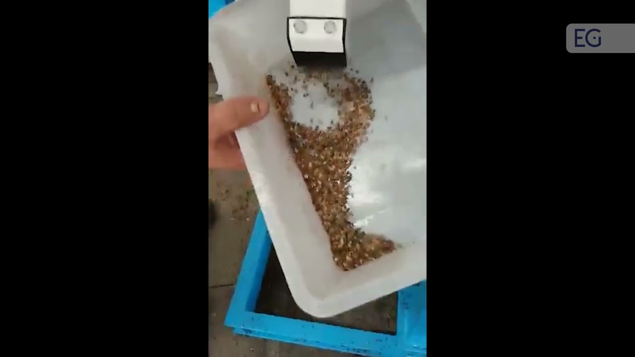 Камнеотборник TQSL