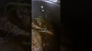 How to Boil a Whole Turkey part 2
