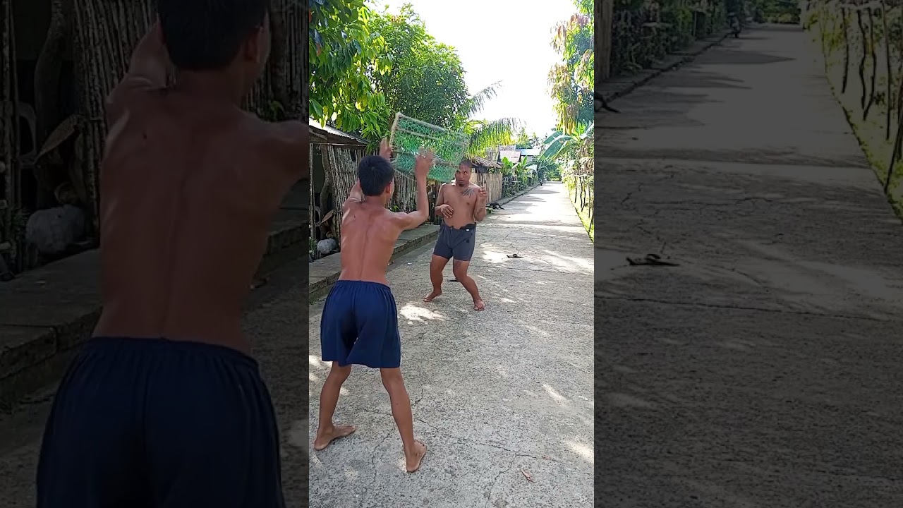 Plants vs Zombies challenge  