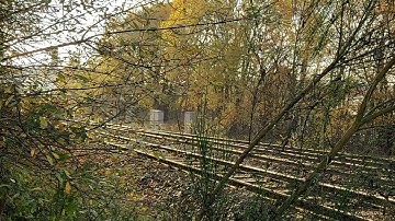 Class 37 Thrash - Blackpool North - Derby R.T.C Test Train - 6th November 2020