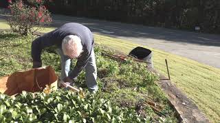 Free Subdivision Entrance Cleanup - Part 1