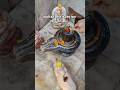 लक्ष्मी मां कहां किस पेड़ पर वास करती है#pandit Pradeep Mishra#viral #shiv#mahapuran mandir#upay
