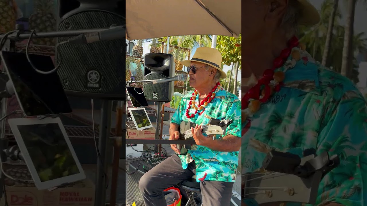 Live Music & Island Vibes 🎶🌴 | Hawai&rsquo;i