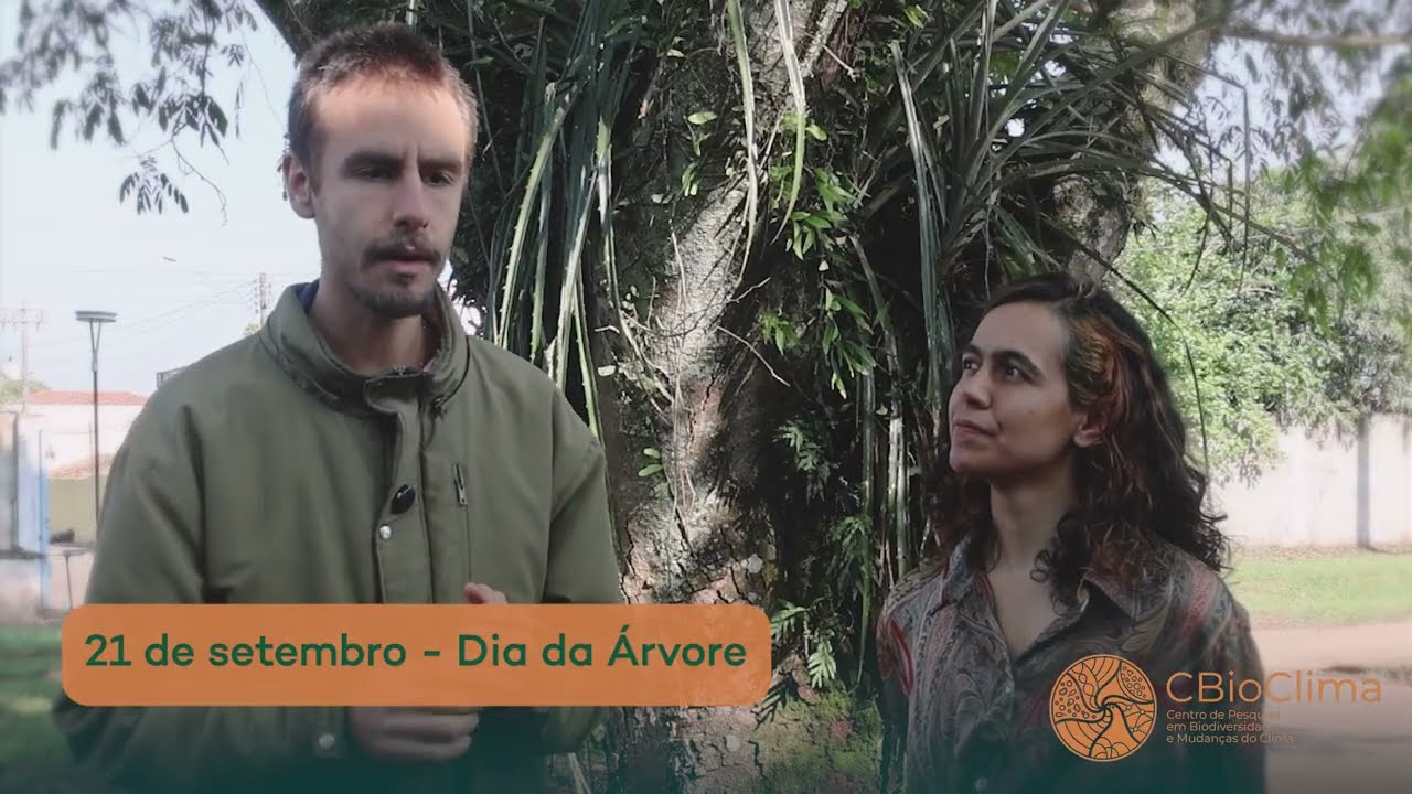 Dia da Árvore: plantar, conservar e reconectar a biodiversidade