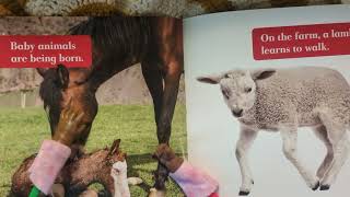 Animals In Spring Gentle Read Aloud With Beginning Sound Practice For Kids