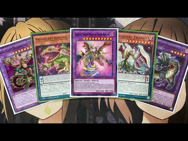 yugioh predaplant deck 2020 RC04-AE028 Dragostapelia (CR)  TCG Corner Dueling Heroes My Predaplant Yugioh Deck Profile